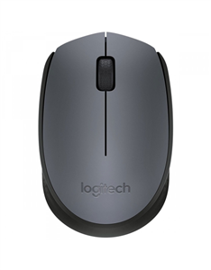 Souris LOGITECH M171