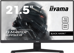 Ecran 22" IIYAMA G-Master G2250HS-B1 - PROMOTION